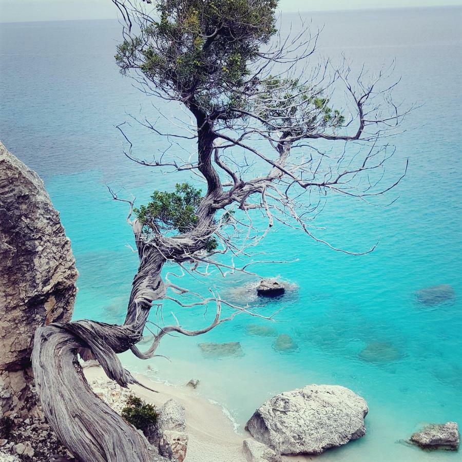 Appartamento Porto Frailis Tortolì Extérieur photo